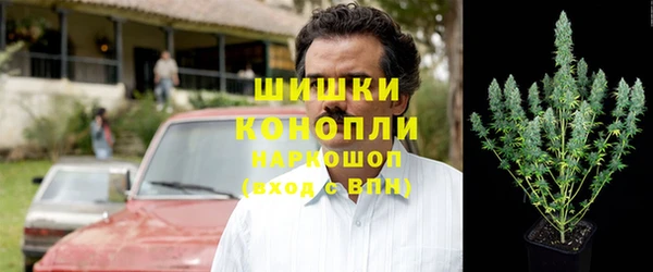ГАЛЛЮЦИНОГЕННЫЕ ГРИБЫ Армянск