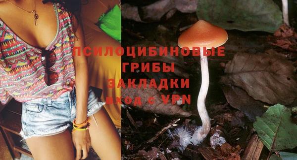 ГАЛЛЮЦИНОГЕННЫЕ ГРИБЫ Армянск