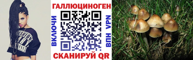 Псилоцибиновые грибы Magic Shrooms  Купить где  Пыталово 